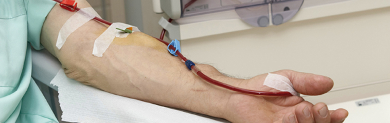 Área de nefrología